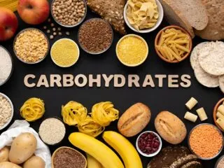 What are the primary functions of carbohydrates